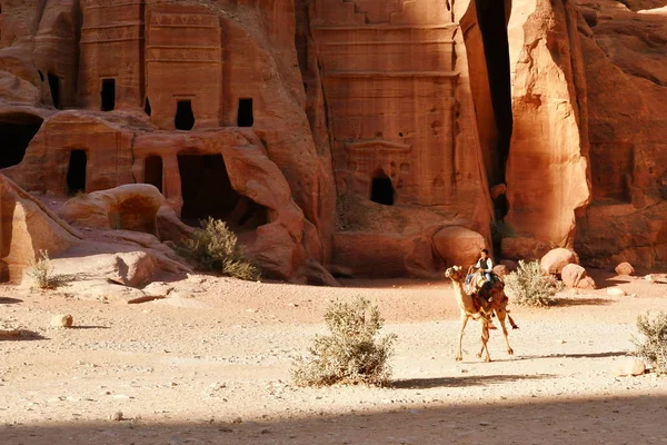 Petra Jordánsko Října Malý Chlapec Běžet Jeho Cammel Sík Canyon — Stock fotografie