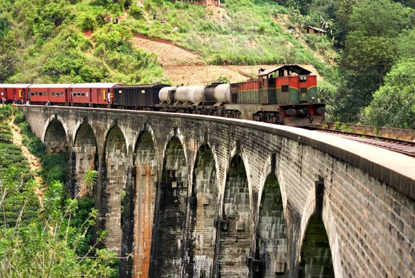 Train Nine Arches Demodara Bridge — Stock Photo, Image