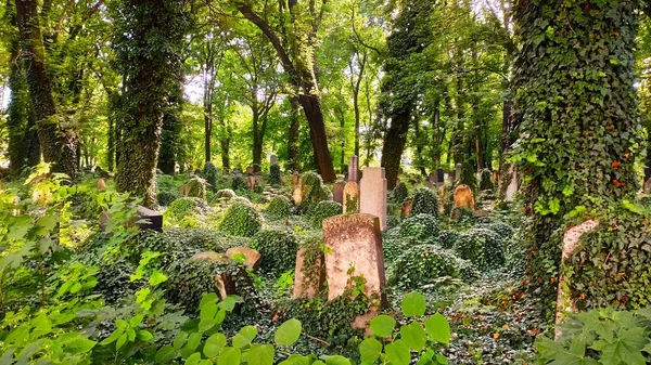 New Jewish Cementery Kazimierz Krakow Poland — Stock Photo, Image