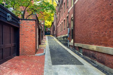 Kırmızı tuğla binalar Boston'un Beacon hill bölgesinde sonbahar sezonu