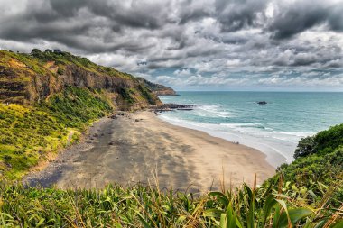 Maori çevre Muriwai beach, North Island, Yeni Zelanda defne güzel boş siyah kum plaj