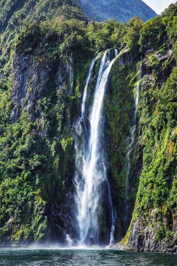Milford ses, Yeni Zelanda, resimdeki alınan yüksek şelale ferr cruise