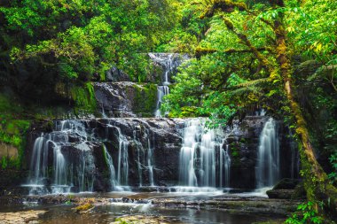Purakaunui falls Catlins forest Ulusal Parkı, South Island, Yeni Zelanda