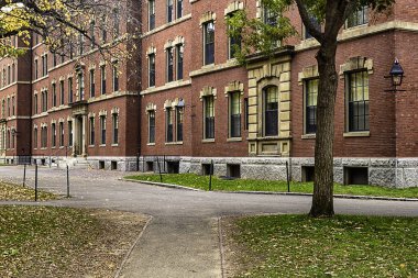 Boston, Amerika Birleşik Devletleri - Ekim 2015: Harvard Yard, Boston, ABD bina kırmızı tuğla Üniversitesi