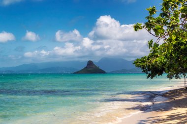 Çinlinin şapka Island view ve Kualoa Beach, Oahu, Hawaii güzel turkuaz su