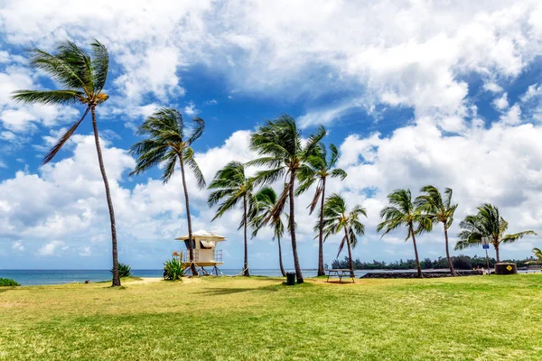Pálmafák Életmentő Torony Trópusi Tengerparton Haleiwa Északi Partján Oahu Hawaii — Stock Fotó