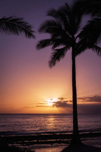 Beautiful purple sunset over pacific ocean and three palms and car roof on Oahu, Hawaii