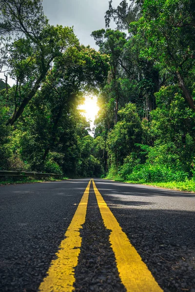 Carretera Con Dos Líneas Amarillas Bosque Hawaiano — Foto de Stock