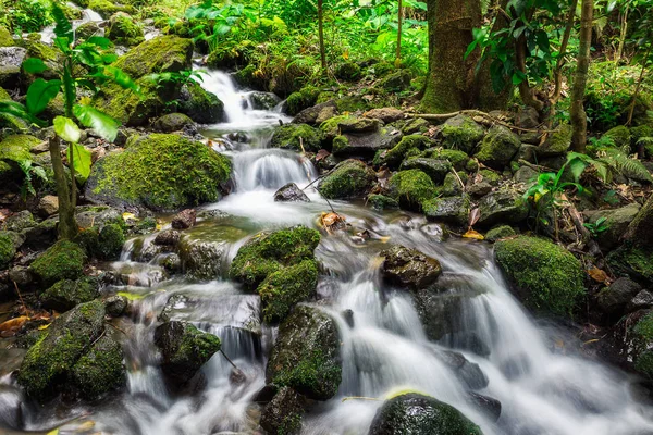 Creek Cascade Long Exposure Shot Rainforest Oahu Island Hawaii — Stock Photo, Image