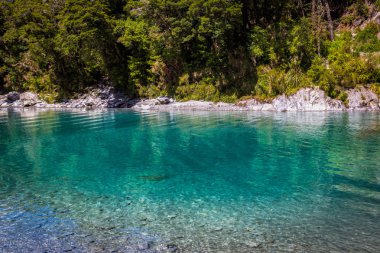 Mavi havuzları - güzel yer, Makarora Nehri üzerinde South Island, Yeni Zelanda