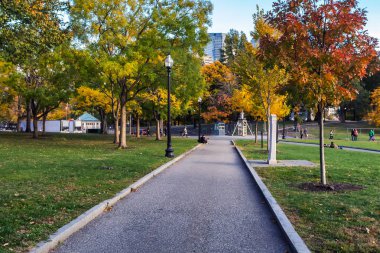 Sonbahar sezonu Boston Common parkta yürüyüş yolu