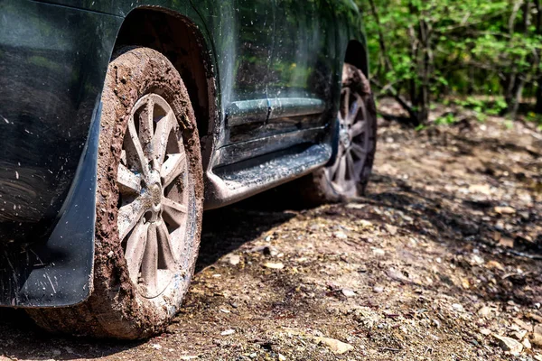 黒い車の運転のフォレスト内の汚れたホイール — ストック写真