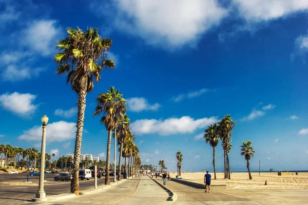 Sétány Venince Strand Pálmák Los Angeles Amerikai Egyesült Államok — Stock Fotó