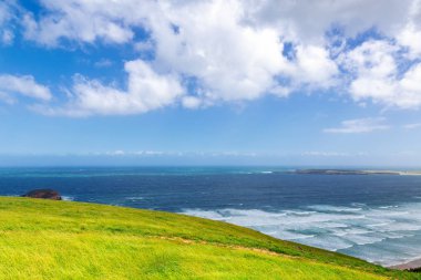 Pasifik okyanus manzarası Otago, Yeni Zelanda