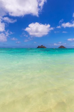 Açık Turkuaz su ve iki ada Lanikai beach, Oahu, Hawaii görüntülemek