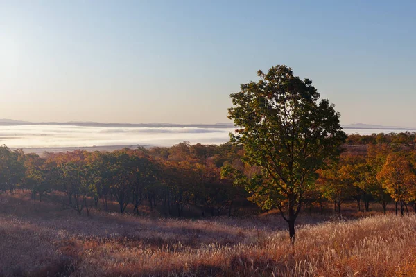 Vista Manhã Vale Coberto Com Nevoeiro Temporada Outono — Fotografia de Stock