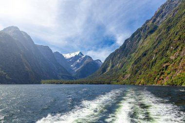 Cruise feribot Milford ses harika görünümünden
