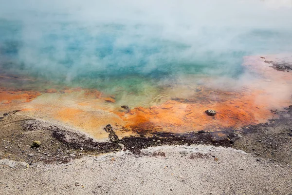 Híres Pezsgő Termálmedence Wai Tapu Thermanl Csodaországban Rotorua Zéland — Stock Fotó