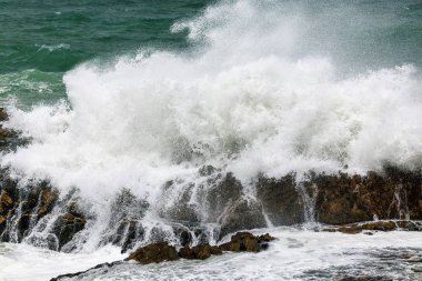 Dev bir dalga kayalık sahil şeridi Hermanus, Güney Afrika için gürültüyle çarpmak