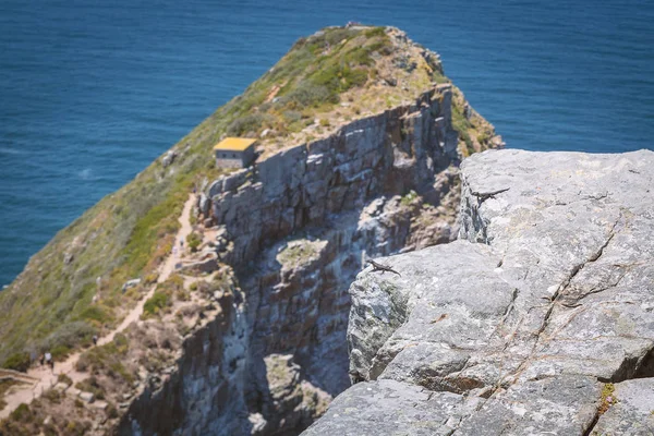 Cape Point, Güney Afrika, rock kenarına küçük agama kertenkele