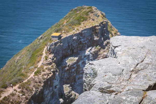 南アフリカ共和国のケープ ポイントで岩の端に小さなアガマトカゲ トカゲ — ストック写真
