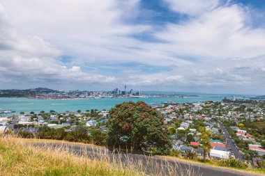 Devonport bölgesi ve Auckland şehir Dağı Victoria'dan görüntülemek