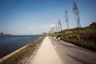 Seul Han Nehri yakınında parkta yürüyüş insanlar