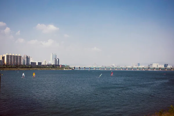 Planche Voile Dans Rivière Han Séoul Corée — Photo