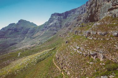 Görünüm, tablo Dağı Milli Parkı Cape Town, Güney Afrika
