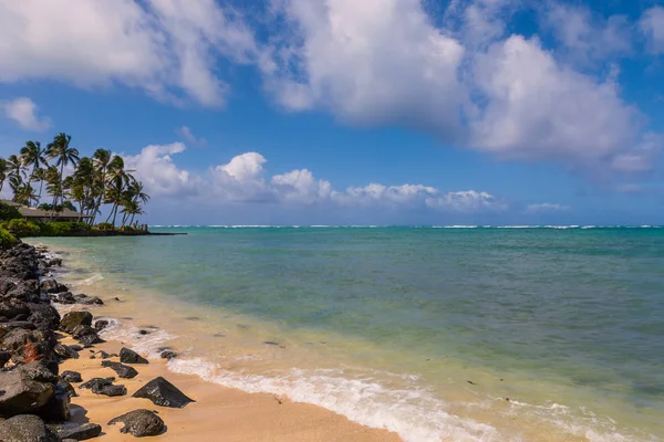 Mooie Oever Van Oceaan Palm Bomen Kualoa Oahu Hawaii — Stockfoto