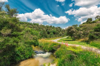 Waimangu volkanik Vadisi Parkı, Rotorua, Yeni Zelanda bir güzel renkli manzarada iz