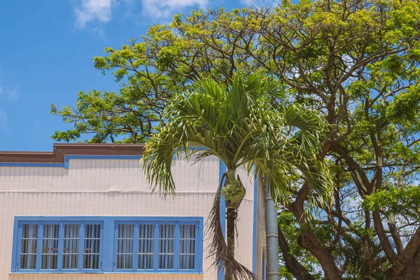 Oud Hawaiiaans Gebouw Met Kleurrijke Luiken — Stockfoto