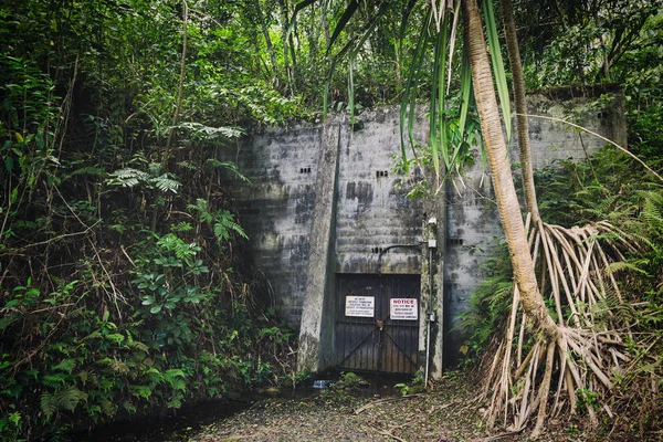 Hidden shelter door in tropical forest
