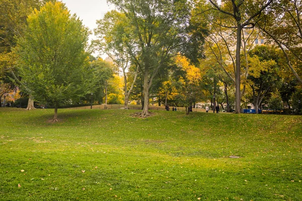 Gramado Verde Central Park Temporada Outono Nova York — Fotografia de Stock