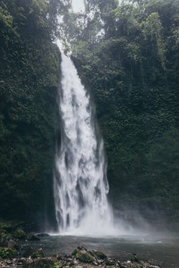Bali tropikal ormanda Büyük Nungnung su, popüler turistik yer