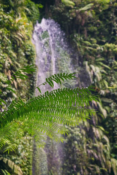 Schöner Wasserfall Tropischen Wald Von Bali Indonesien — Stockfoto