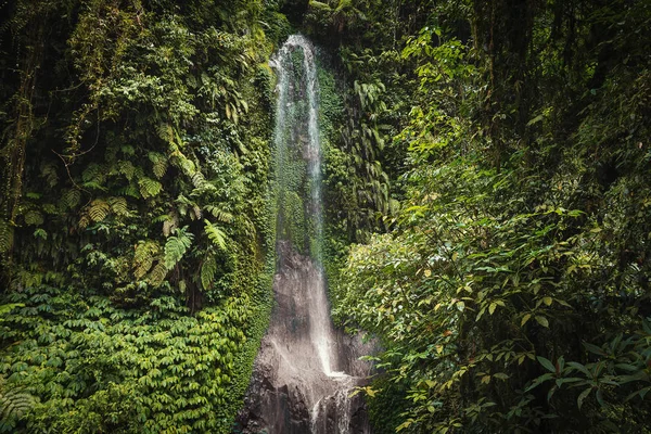 Bela Cachoeira Floresta Tropical Bali Indonésia — Fotografia de Stock