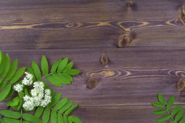 Düz yatıyordu. Çiçekli bahar ağaçlarının dalları