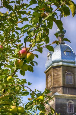 Apple kaplıcalar, Rabbinin başkalaşım. Elma ağacı ahşap bir kilise Rusya'da arka plan üzerinde. Yaz dini tatil.