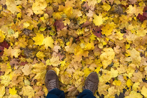 Top view Of men\'s sneakers. A man stands on a yellow autumn foliage. Autumn mood