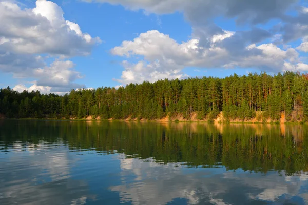 Nyári Este Egy Fenyves Erdőben Kék Tavak Régióban Chernihiv Ukrajna — Stock Fotó