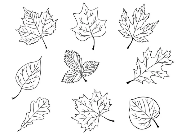 Set leaf icon vector — Stock Vector