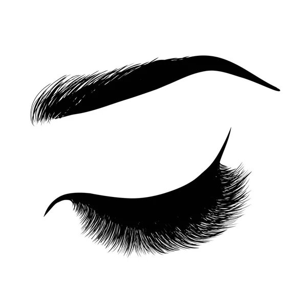 Lady stylish closed eye and brows with full lashes, beautiful sexy women eyes makeup. EPS 10