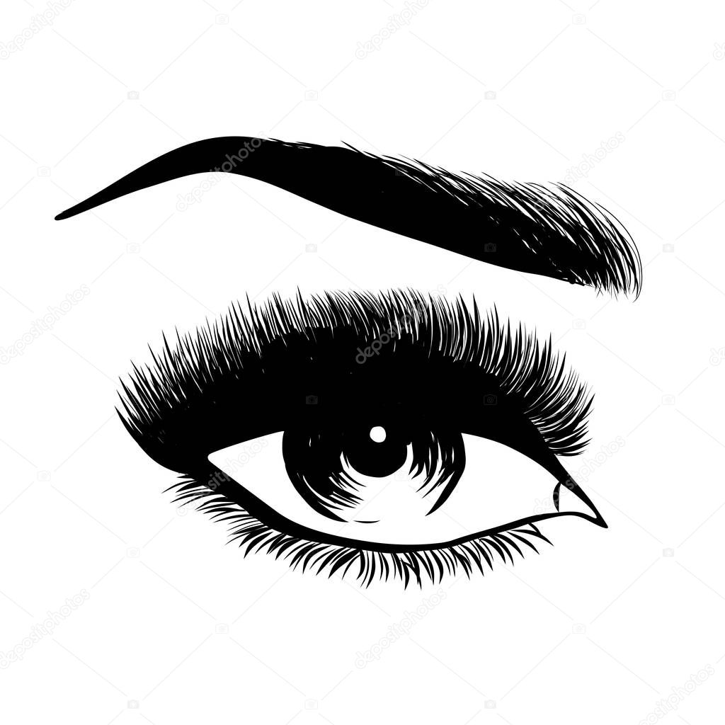 Lady stylish opened eye and brows with full lashes, beautiful sexy women eyes makeup. EPS 10