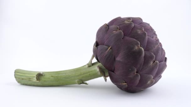 Purple artichoke rotating on a turn table. Isolated on white background. Side view. — Stock Video