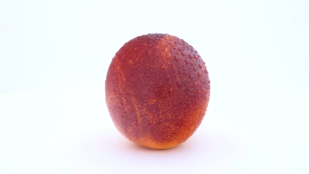 Frutto arancio sangue fresco con gocce d'acqua che ruotano sul tavolo girevole. Isolato su sfondo bianco. Loopable. Da vicino. — Video Stock