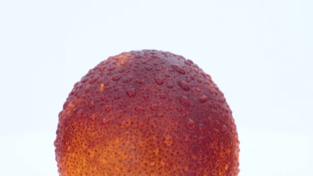 Röd orange frukt långsamt roterande på sväng tabell. Isolerade på vit bakgrund. Loopable. Närbild. Makro. — Stockvideo