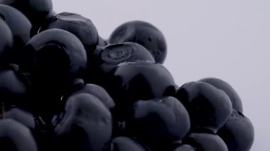 Beyaz arka plan üzerinde izole pikap üzerinde dönen yaban mersini süper yakın makro.