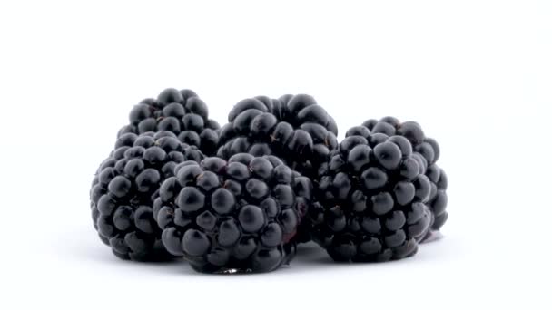 Pile of blackberries rotating on the on the turntable isolated on the white background. Side view. Close up. — Stock Video