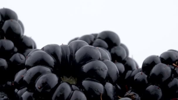 Macro de plusieurs mûres tournant sur le sur la platine isolée sur le fond blanc . — Video